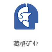 EVO厅合作同伴：藏格矿业